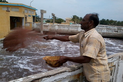 RANITEC TANNERY UNITS